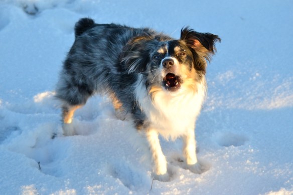 Mama, get better soon!