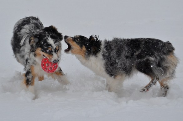 Brotherly love at it's finest!