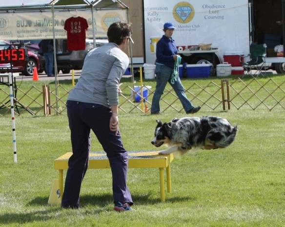 And he sticks the landing!!   Photo by Jan Skurzynski, judge and photographer extraordinaire!